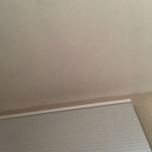 Meet your Posher, Forrest